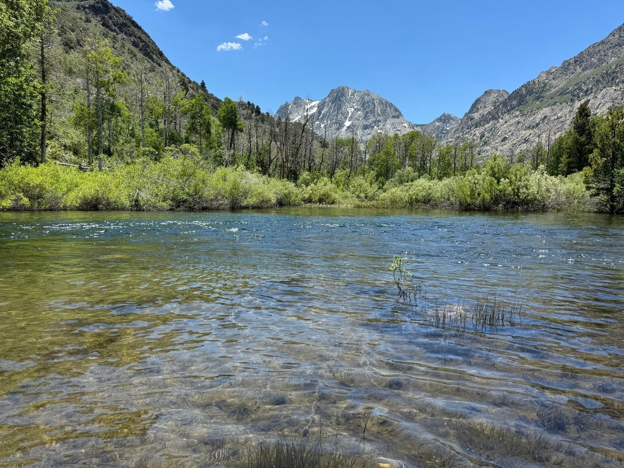 June Lake Loop 2024 Trip