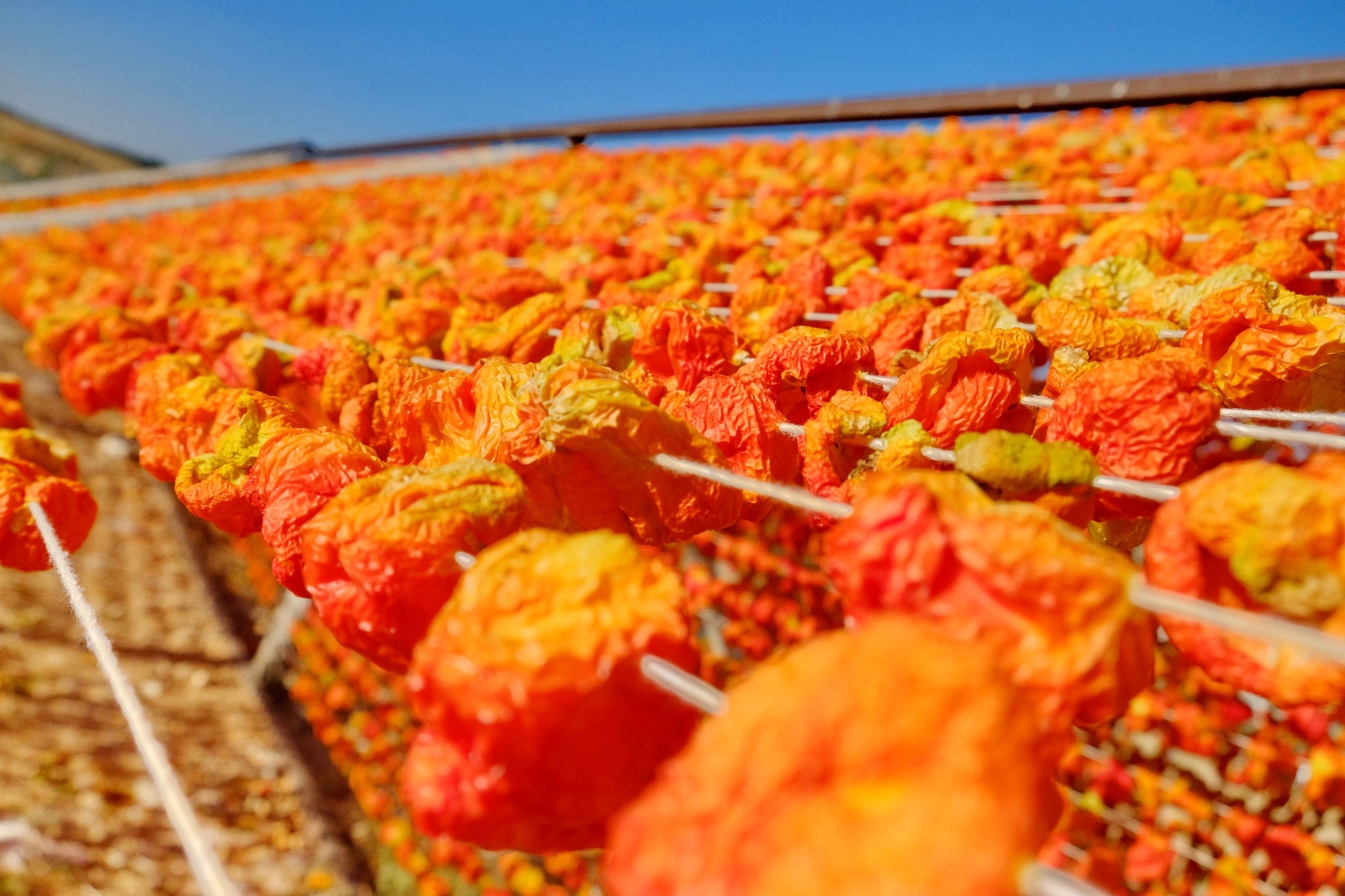 Artisan Chilis