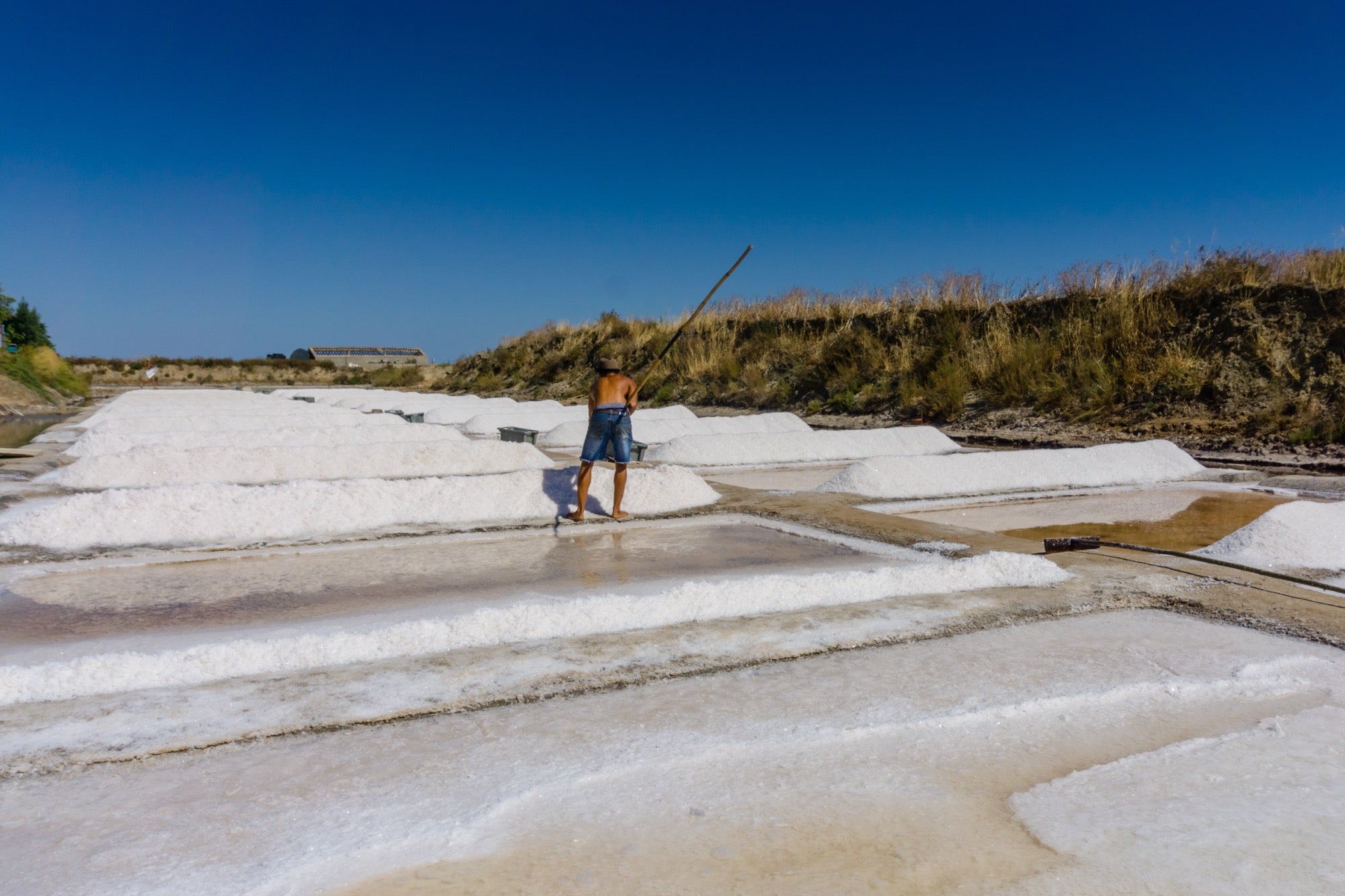 Imported Sea Salts